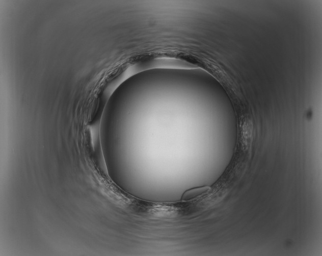 X0000116800617200912181319