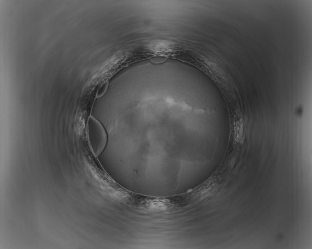 X0000116800618200912181319