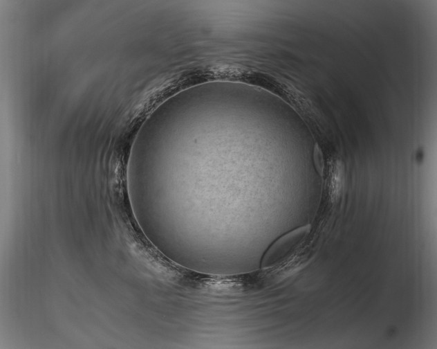 X0000116800619200912181319