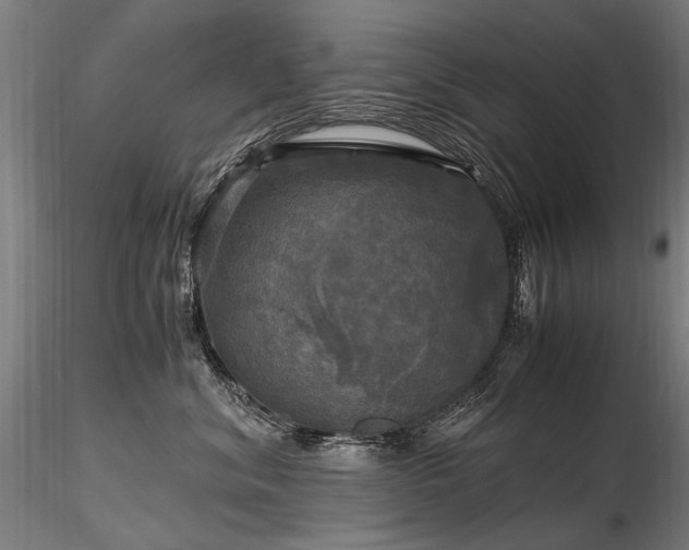 X0000116800620200912181319