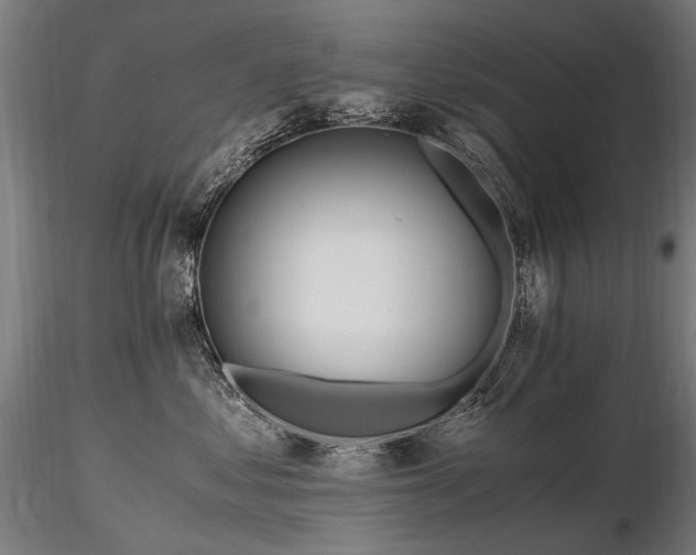 X0000116800621200912181319