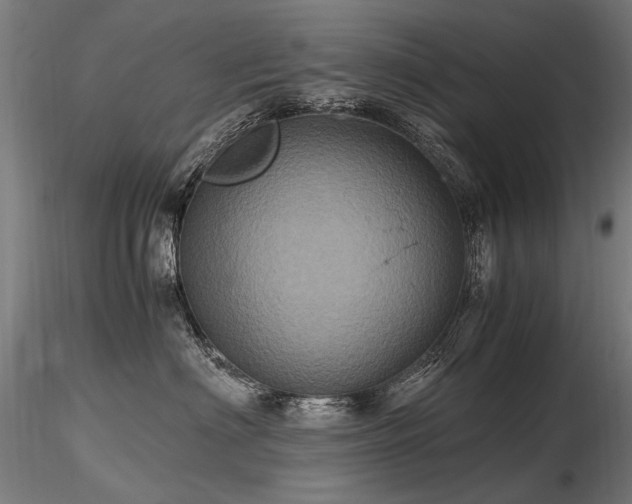 X0000116800622200912181319