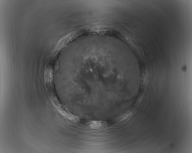 X0000116800623200912181319