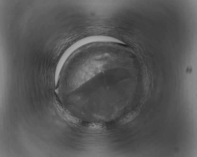 X0000116800624200912181319