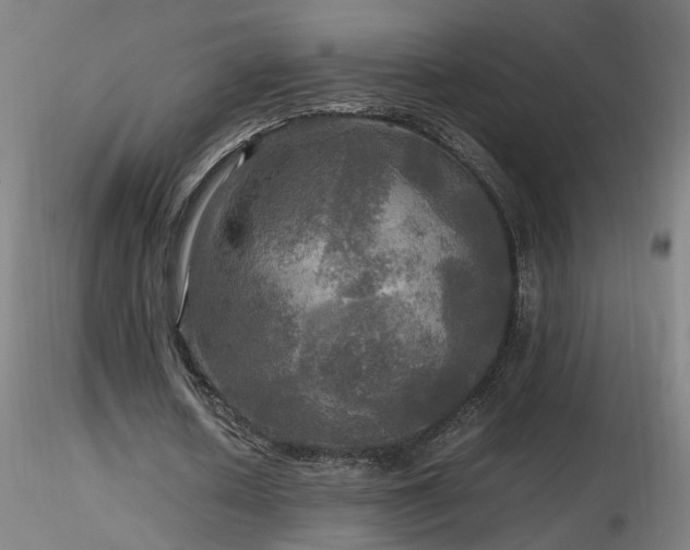 X0000116800626200912181318