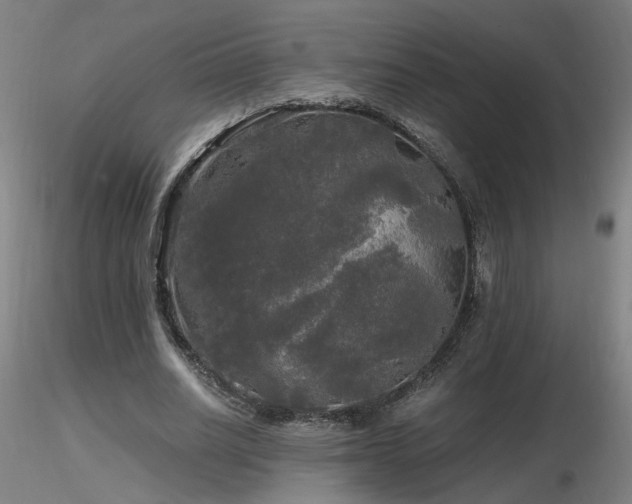 X0000116800630200912181318