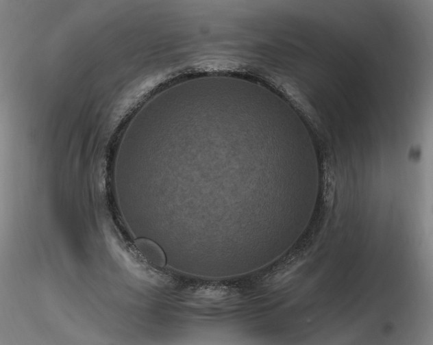 X0000116800631200912181318