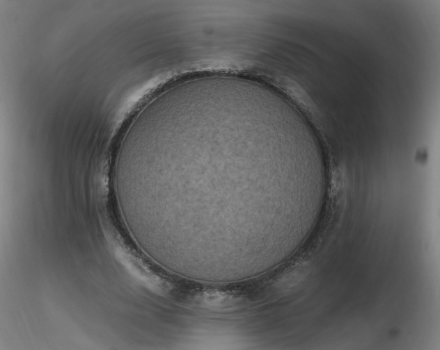 X0000116800632200912181318