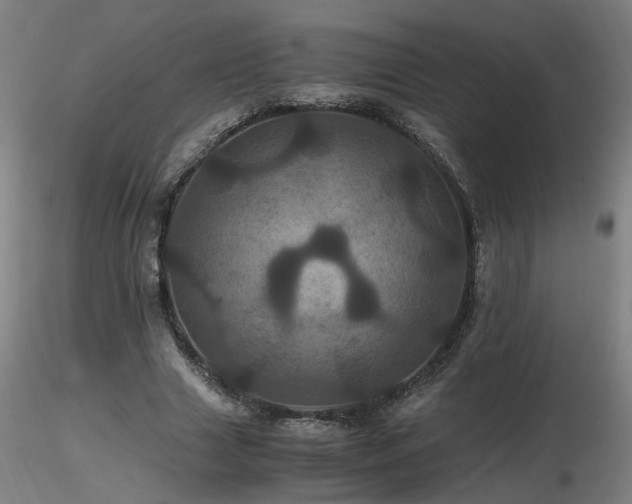 X0000116800633200912181318