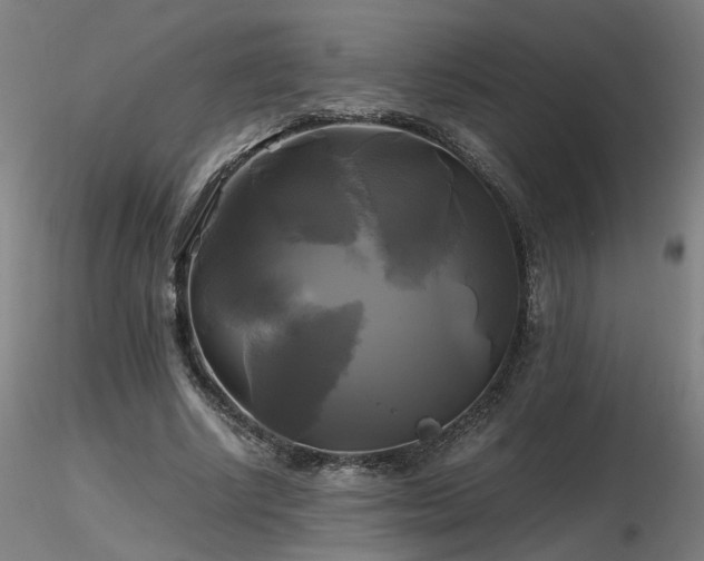 X0000116800634200912181318