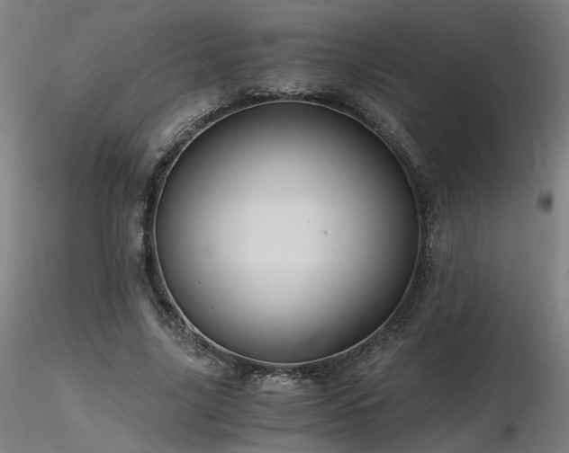 X0000116800635200912181318
