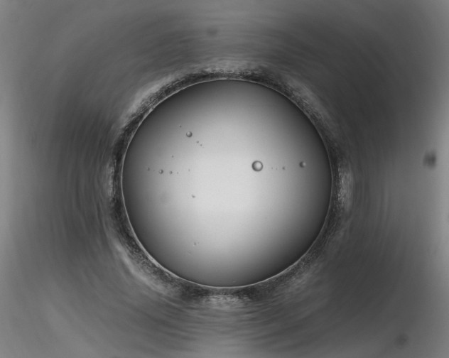X0000116800636200912181318