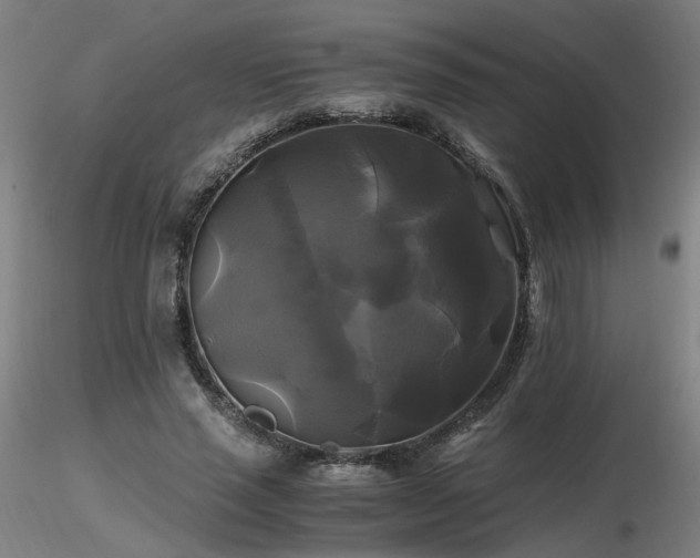 X0000116800637200912181318