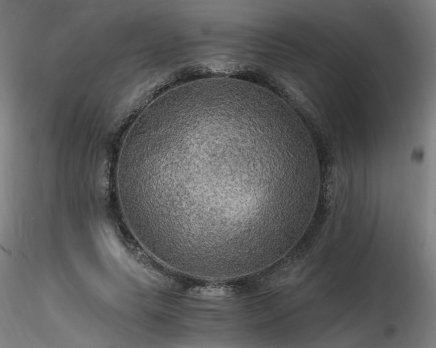 X0000116800639200912181318