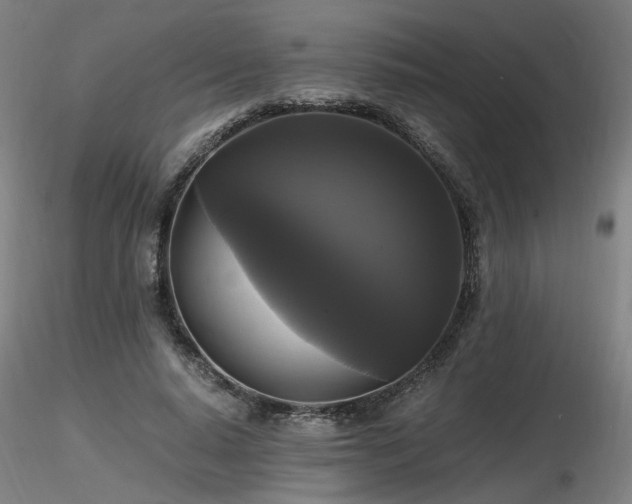 X0000116800640200912181318