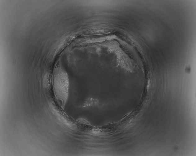 X0000116800641200912181318