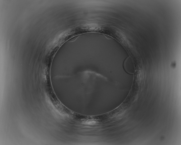 X0000116800643200912181318