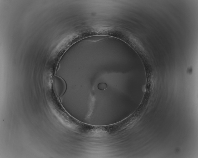 X0000116800644200912181318