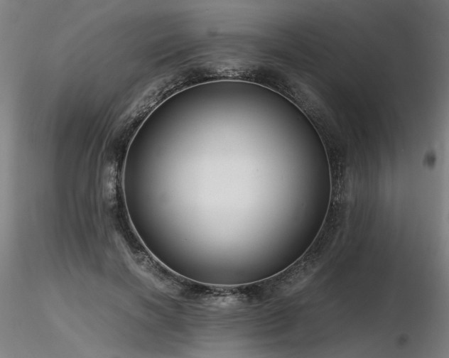 X0000116800646200912181318