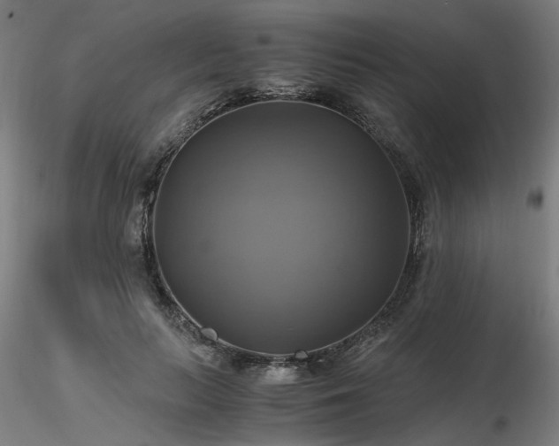 X0000116800647200912181318