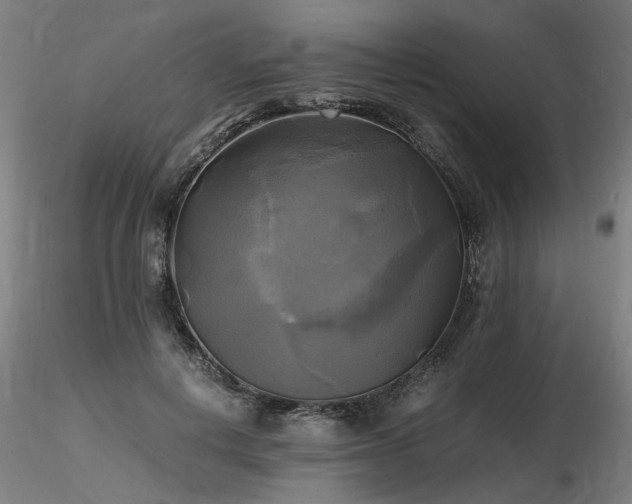 X0000116800648200912181318