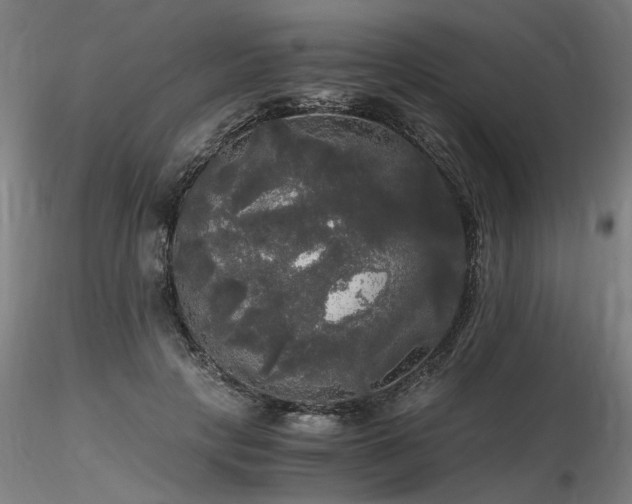 X0000116800649200912181318