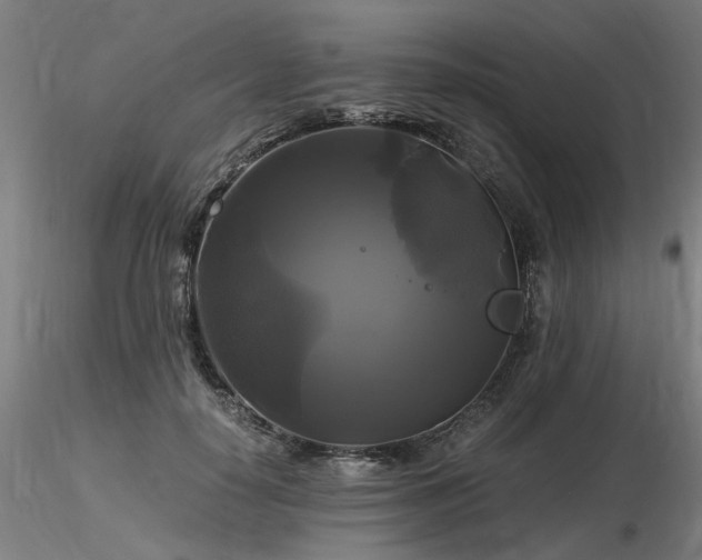 X0000116800650200912181318
