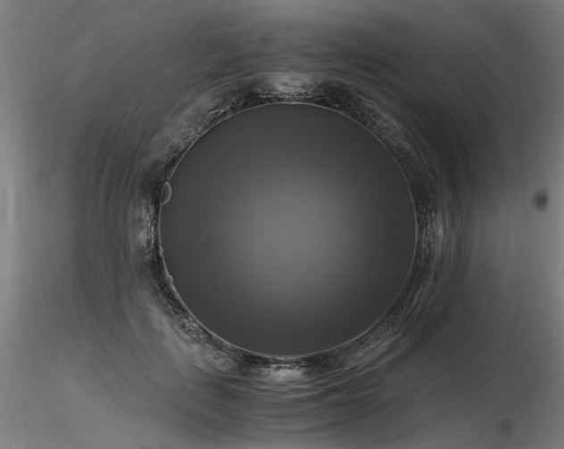 X0000116800651200912181318