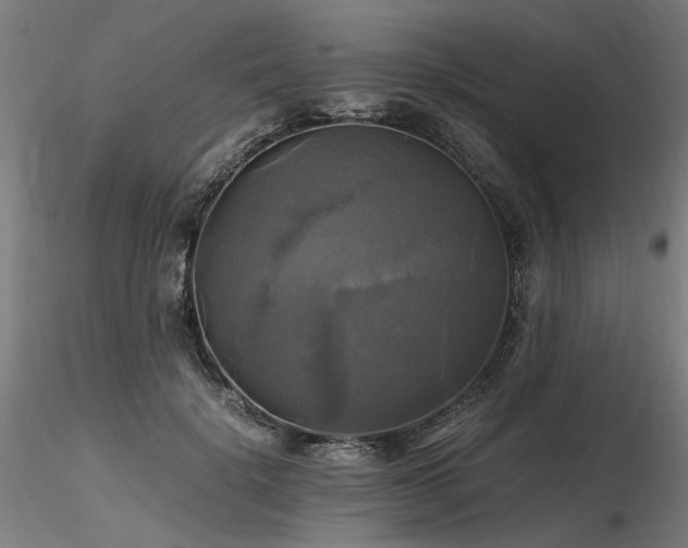 X0000116800652200912181318