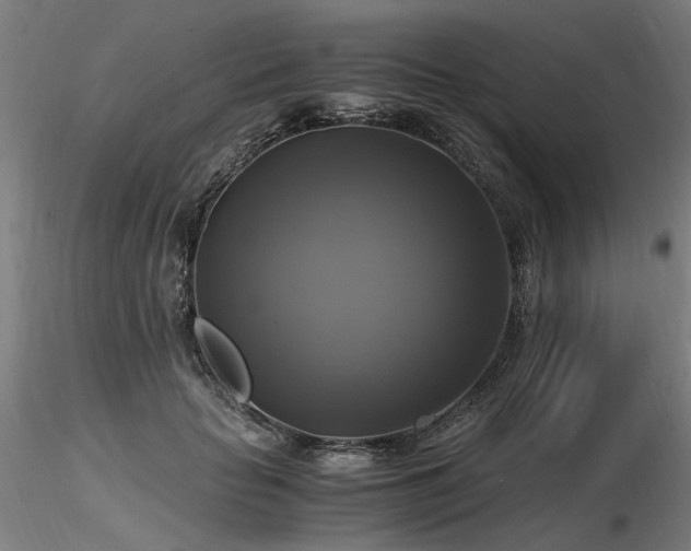 X0000116800653200912181318