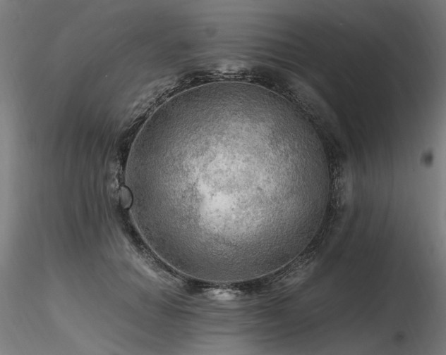 X0000116800654200912181318