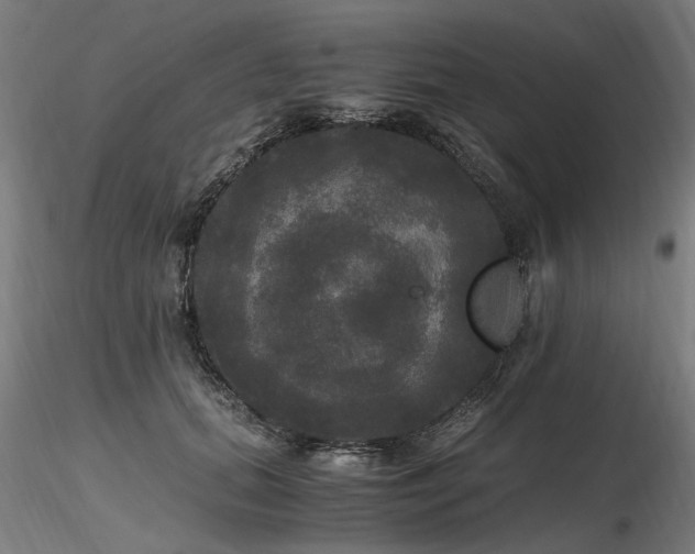 X0000116800655200912181318