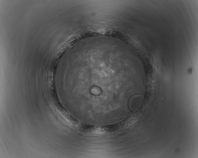 X0000116800656200912181318