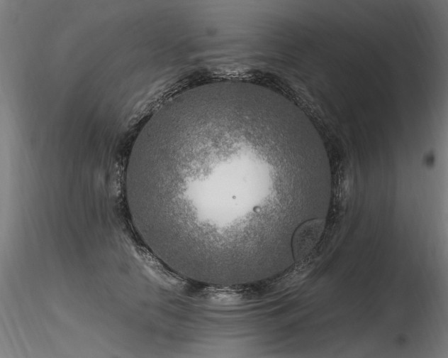 X0000116800658200912181318