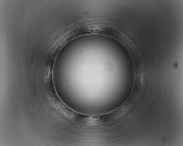 X0000116800660200912181318