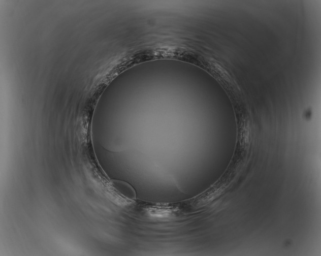X0000116800661200912181318