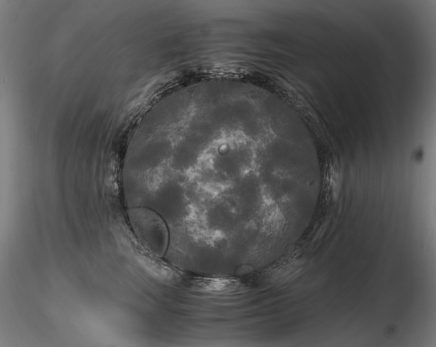 X0000116800663200912181318