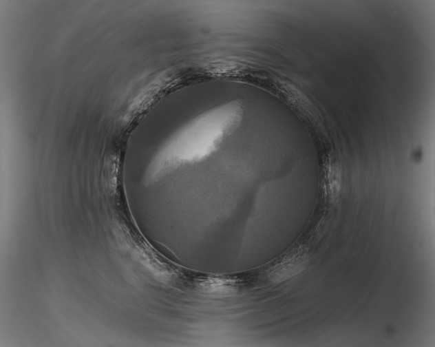 X0000116800664200912181319
