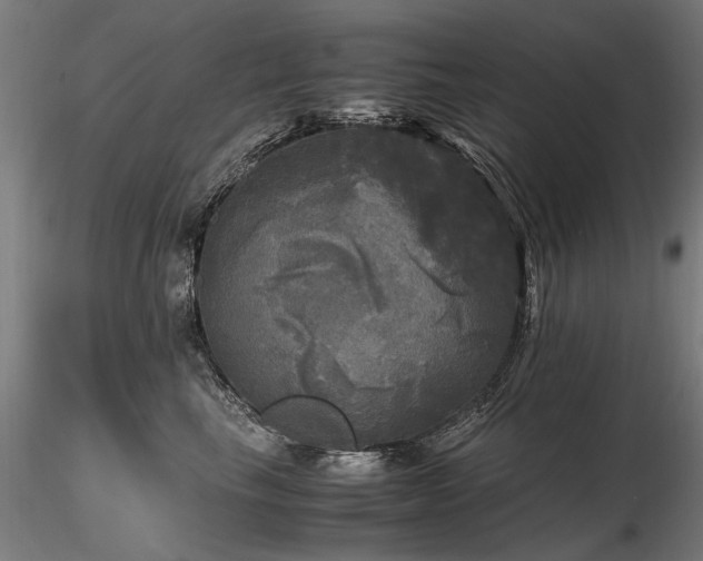 X0000116800665200912181319