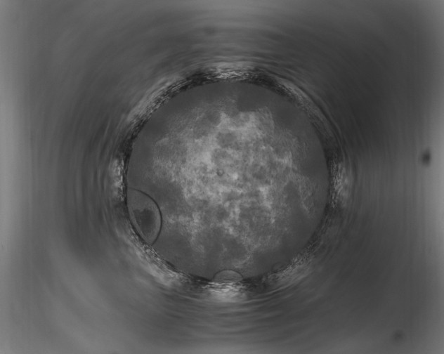 X0000116800667200912181319