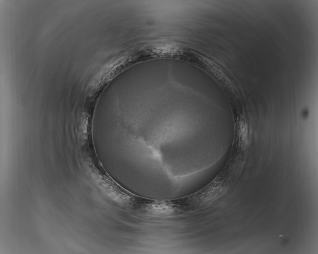 X0000116800668200912181319