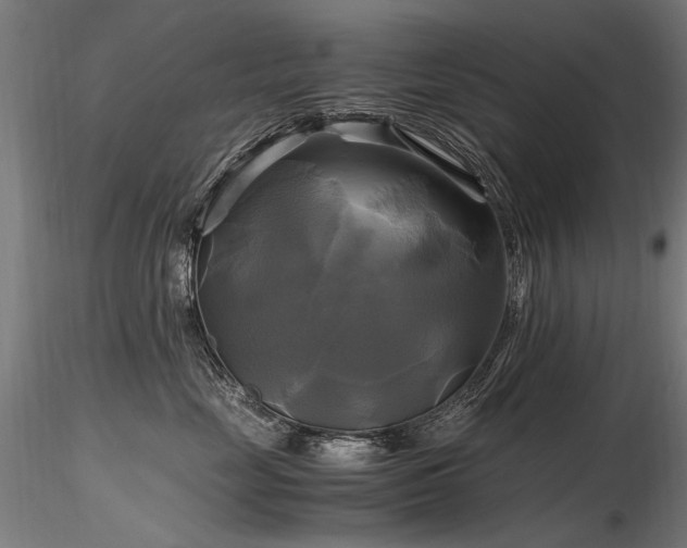 X0000116800669200912181319