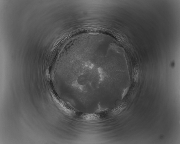 X0000116800670200912181319