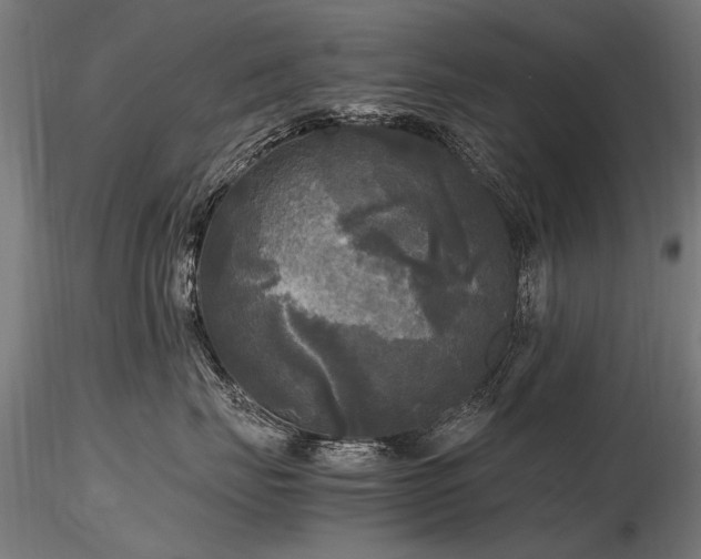 X0000116800671200912181319