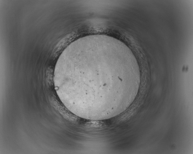 X0000116800672200912181319
