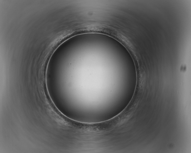 X0000116800673200912181318