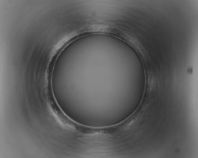 X0000116800674200912181318