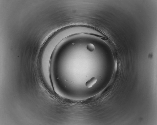 X0000116800676200912181318
