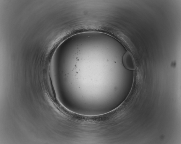 X0000116800677200912181318