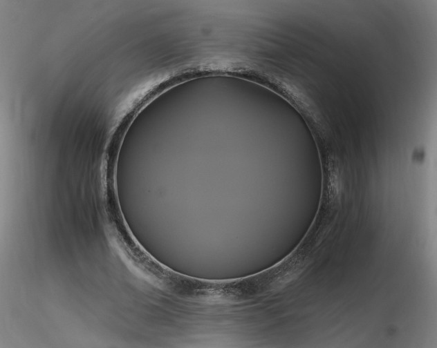 X0000116800678200912181318